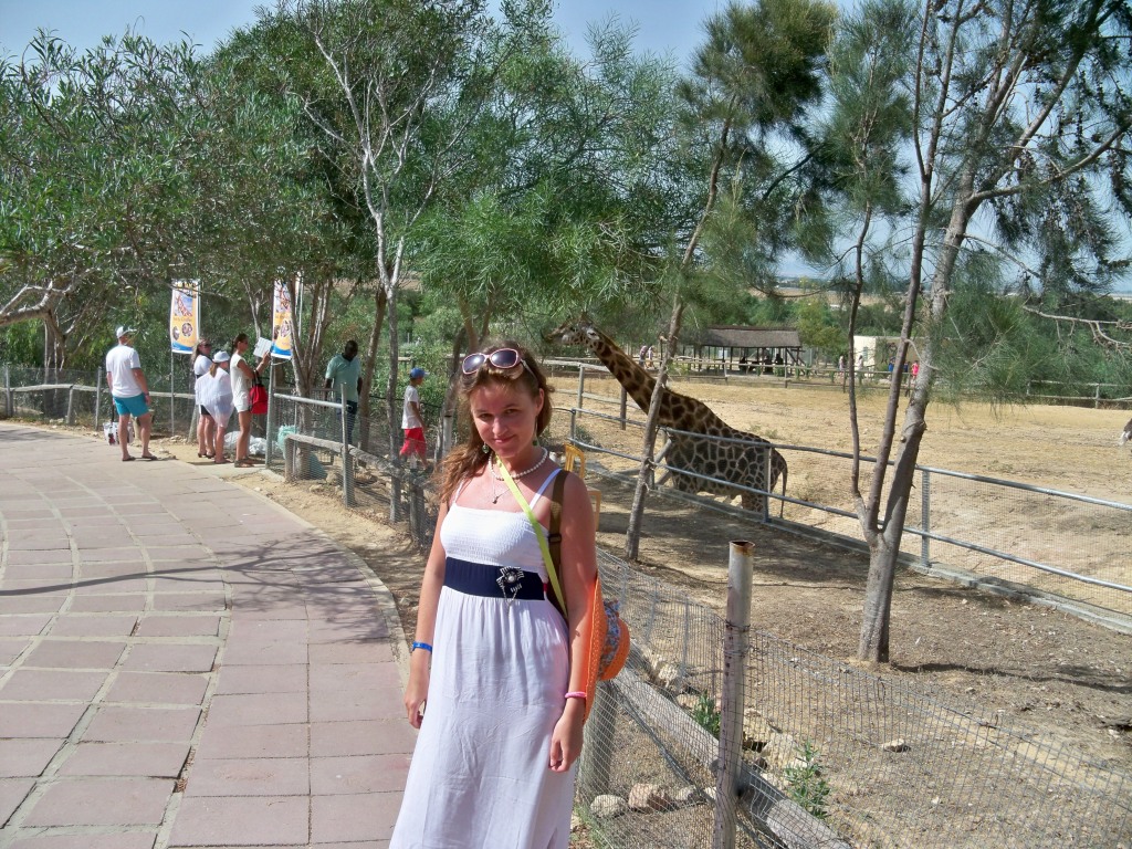 Safari zoo